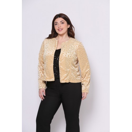Σακάκι Cropped Κωδικός: 2-4376-4 Χρυσό